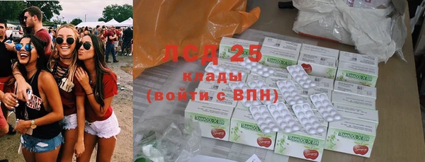 ПСИЛОЦИБИНОВЫЕ ГРИБЫ Алзамай